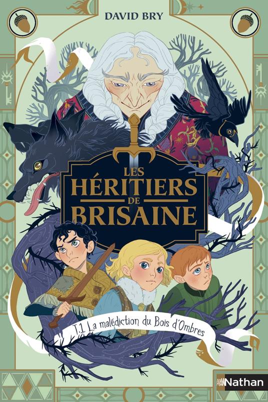 Les Héritiers de Brisaine - La malédiction du bois d'ombres - tome 1/5 - Roman dès 9 ans - David Bry,Noémie Chevalier - ebook