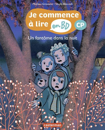 Un fantôme dans la nuit - Mathieu Grousson,Sibylle Ristroph - ebook