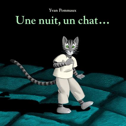 Une nuit, un chat…