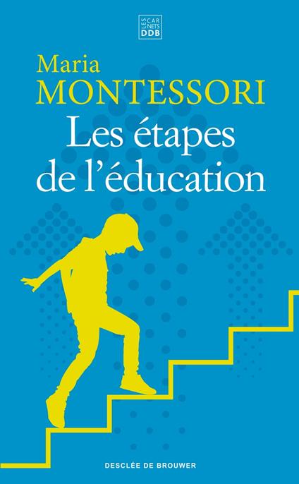 Les étapes de l'éducation