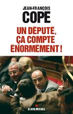 Un député, ça compte énormément !