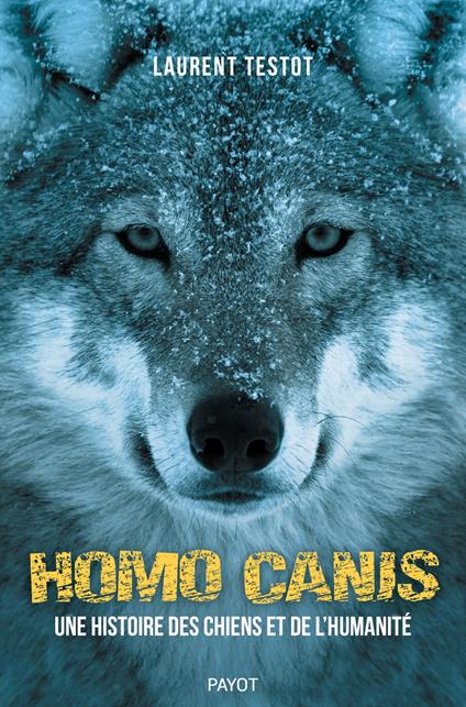 Homo Canis