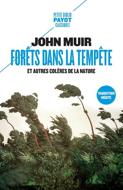 Forêts dans la tempête