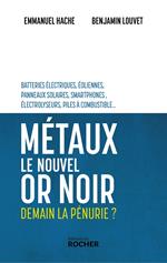 Métaux, le nouvel or noir