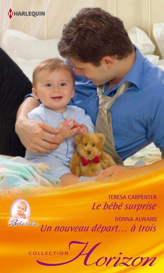 Le bébé surprise - Un nouveau départ...à trois