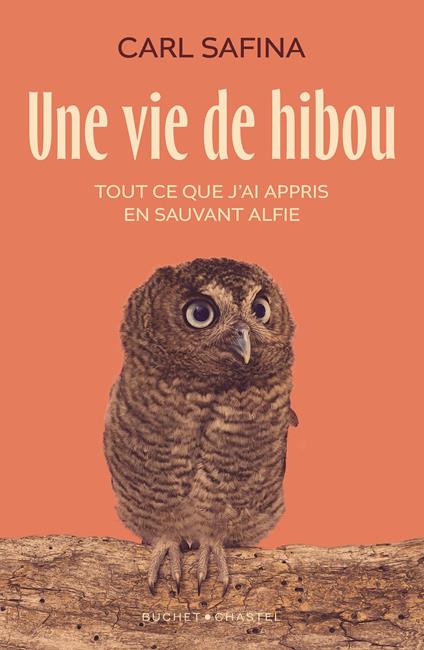 Une vie de hibou. Tout ce que j'ai appris en sauvant Alfie