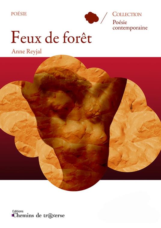 Feux de forêt