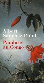 Pandore au Congo