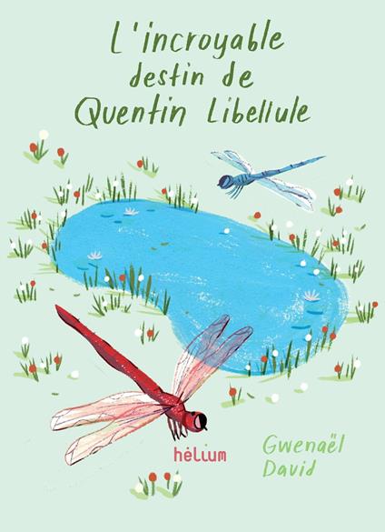 L'Incroyable destin de Quentin Libellule - Gwenaël David,Ping Zhu - ebook