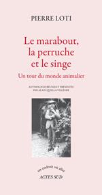 Le marabout, la perruche et le singe