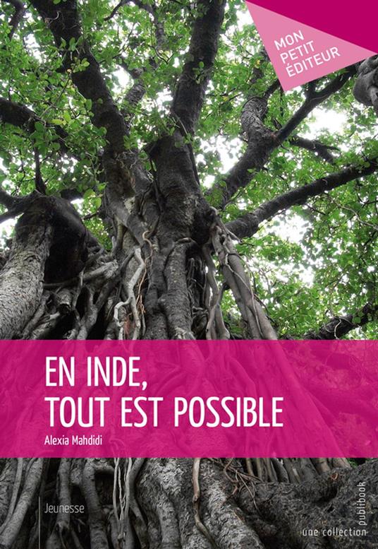 En Inde, tout est possible - Alexia Mahdidi - ebook