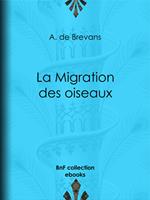 La Migration des oiseaux