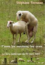 J'aime les moutons, les vrais