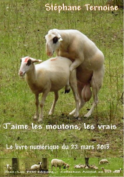 J'aime les moutons, les vrais