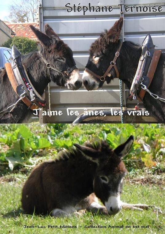 J'aime les ânes, les vrais