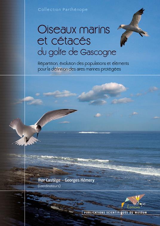 Oiseaux marins et cétacés du golfe de Gascogne