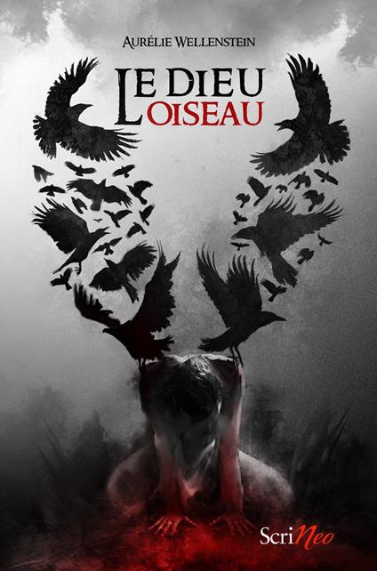 Le dieu oiseau - Aurélie Wellenstein - ebook