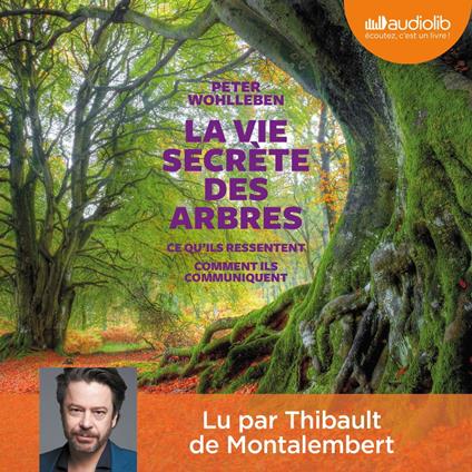 La Vie secrète des arbres