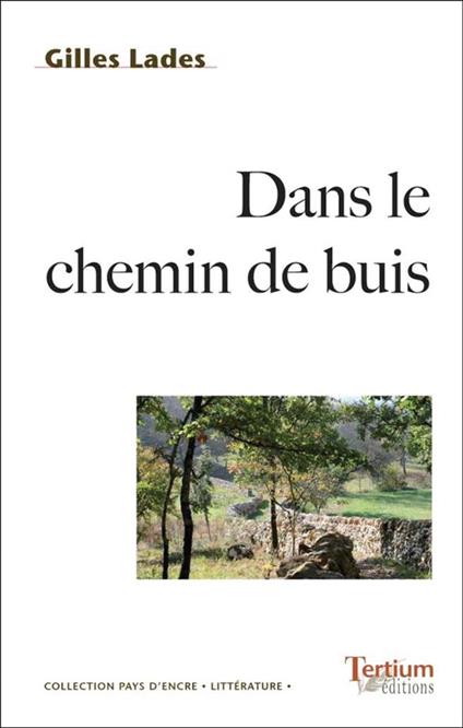 Dans le chemin de buis