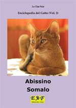 Abissino - Somalo