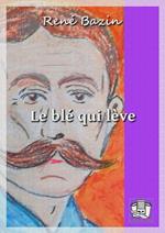 Le blé qui lève