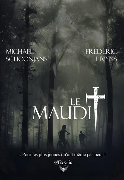 Le maudit - Frédéric Livyns,Michaël Schoonjans - ebook