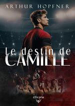 Le destin de Camille