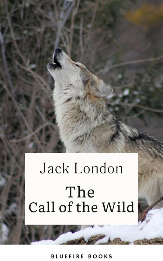 Into the Wild Yonder: Experience the Call of the Wild - Bluefire Books,Jack London - ebook
