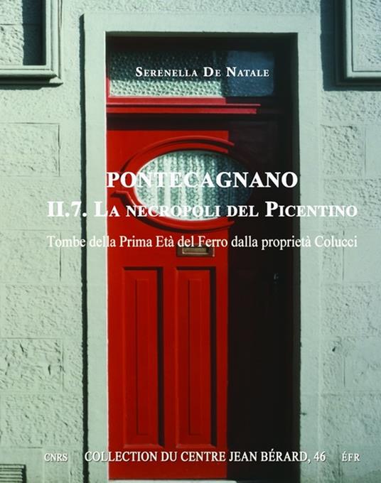 Pontecagnano II.7. La necropoli del Picentino - Serenella De Natale,Bruno D'Agostino,Patrizia Gastaldi - ebook