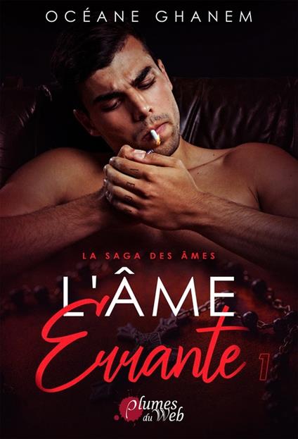 La Saga des Âmes : L'Âme Errante - Tome 1