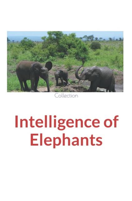 Intelligence of Elephants - Nature And Human Studies,Collection - ebook