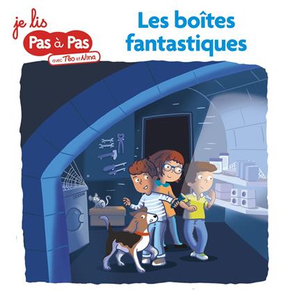 L'abécédaire fantastique de Téo et Nina MS-GS Tome 5