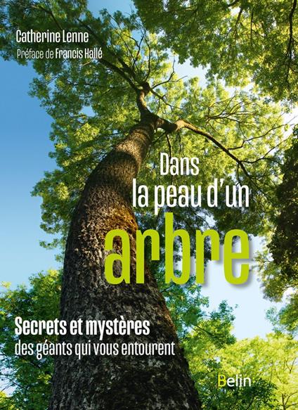 Dans la peau d'un arbre