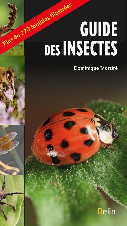 Le guide des insectes