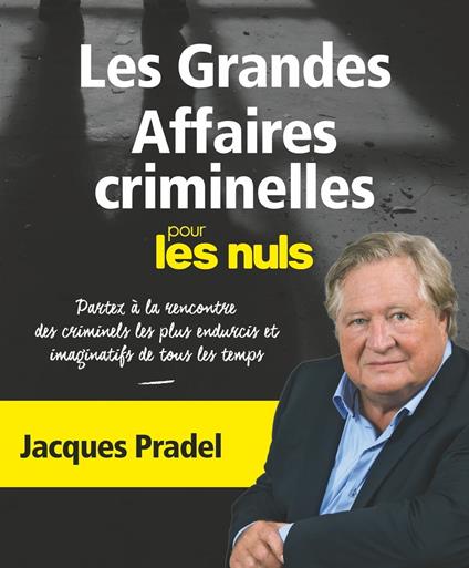 Les Grandes Affaires criminelles pour les Nuls NE