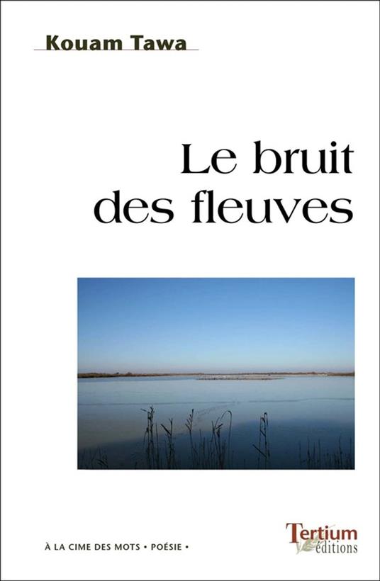 Le Bruit des fleuves - Kouam Tawa - ebook