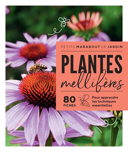 Plantes mellifères