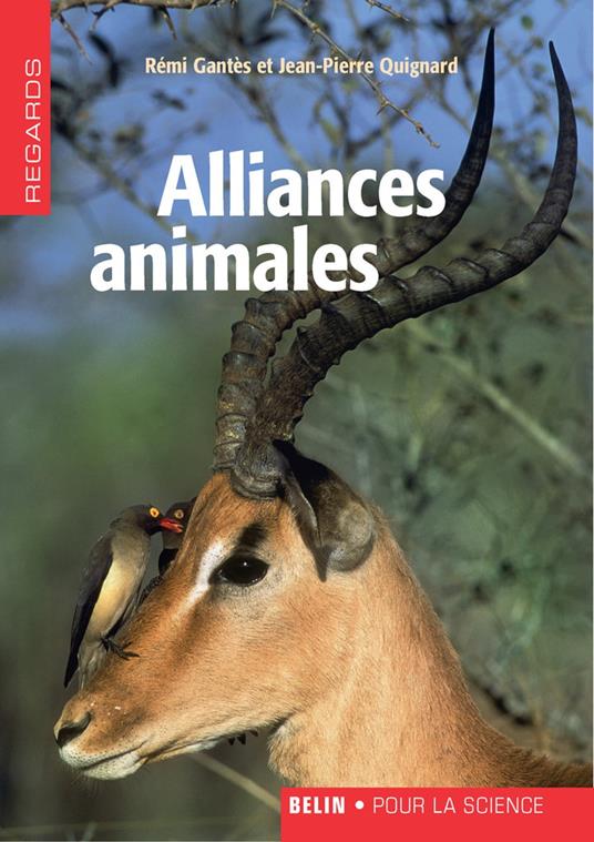 Alliances animales