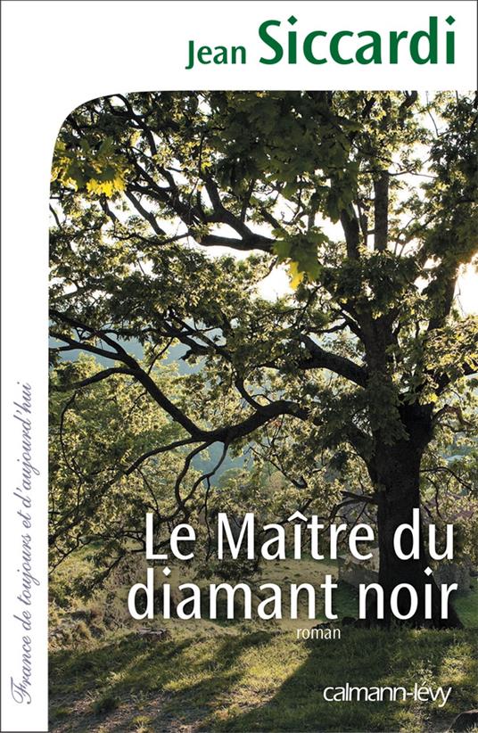 Le Maître du diamant noir - Siccardi, Jean - Ebook in inglese - EPUB2 con  Adobe DRM | IBS