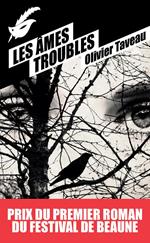 Les Âmes troubles - Prix du premier roman du festival de Beaune 2015