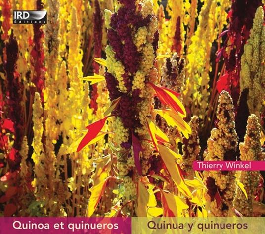 Quinoa et quinueros