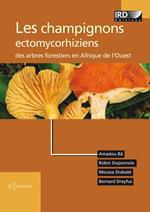 Les champignons ectomycorhiziens des arbres forestiers en Afrique de l'Ouest