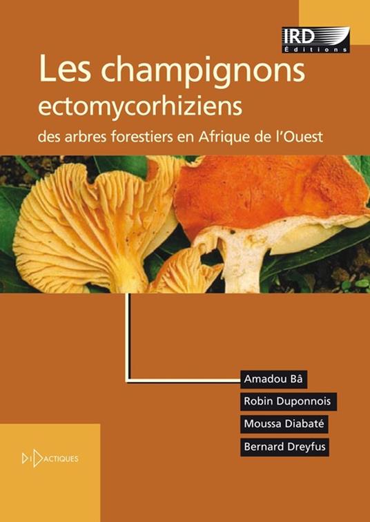 Les champignons ectomycorhiziens des arbres forestiers en Afrique de l'Ouest