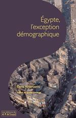 Égypte, l'exception démographique