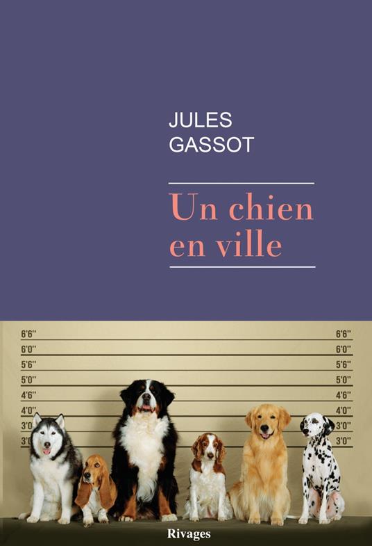 Un chien en ville - Gassot Jules, - Ebook in inglese - EPUB2 con Adobe DRM  | IBS