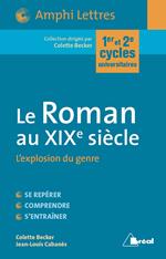 Le Roman au XIXe siècle - L'explosion du genre