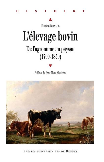 L'élevage bovin