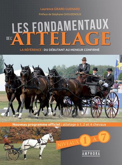 Les Fondamentaux de l'attelage