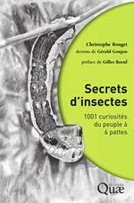 Secrets d'insectes