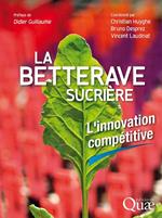 La betterave sucrière